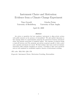 Instrument Choice and Motivation: Evidence from a Climate