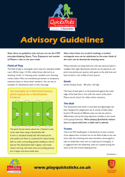 Quicksticks Advisory Guidelines