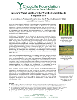 Europe`s Wheat Yields are the World`s Highest Due to Fungicide Use