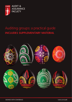 Auditing groups: a practical guide