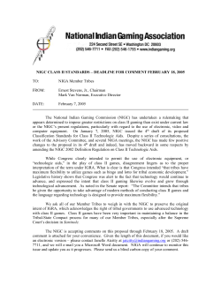 NIGA_Class_Standards_Alert_4th_Draft_022005