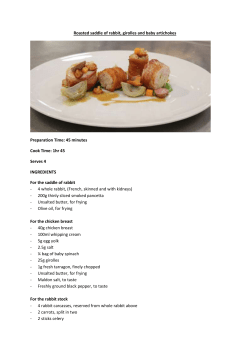 Roasted saddle of rabbit, girolles and baby artichokes