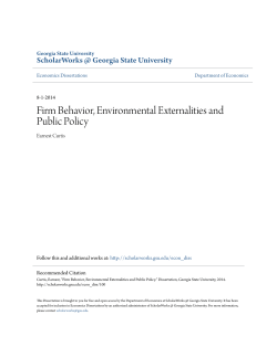 Firm Behavior, Environmental Externalities and Public Policy
