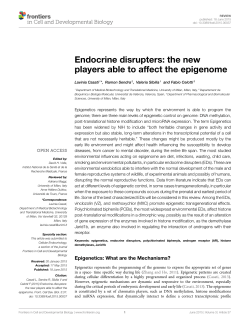 Endocrine disrupters: the new players able to affect the epigenome