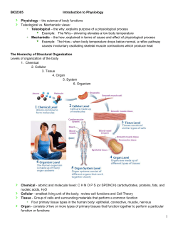 Homeostasis - Austin Community College