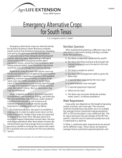 Emergency Alternative Crops for South Texas
