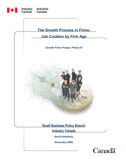 The Growth Process in Firms: Job Creation by Firm Age