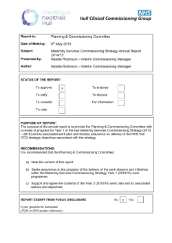 Maternity Strategy Annual Report