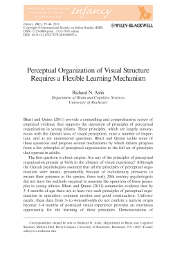 Perceptual Organization of Visual Structure