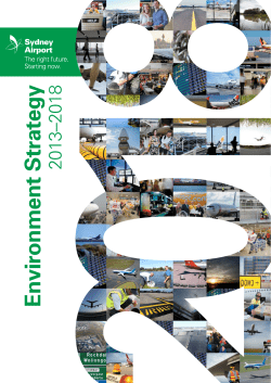 Environment Strategy