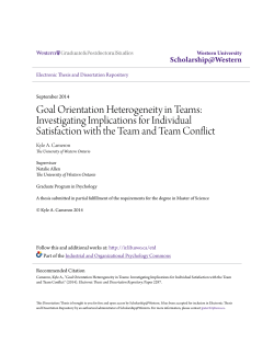 Goal Orientation Heterogeneity in Teams: Investigating Implications