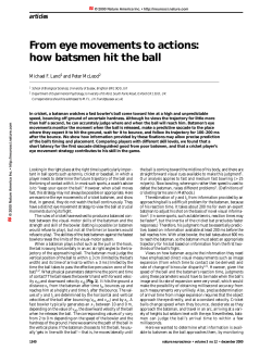 From eye movements to actions: how batsmen hit the ball