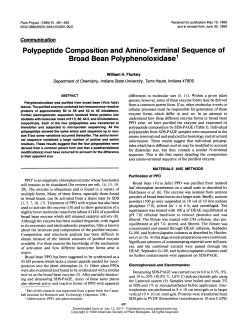 Polypeptide Composition and Amino