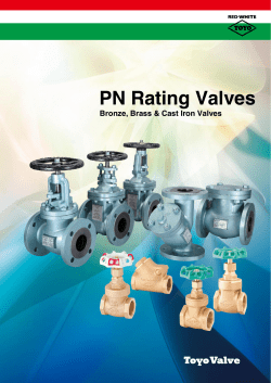 PN Rating Valves