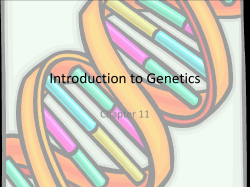 Ch. 11 Notes - Duplin County Schools