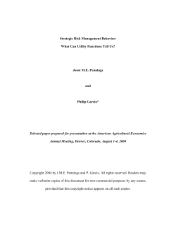 Strategic Risk Management Behavior