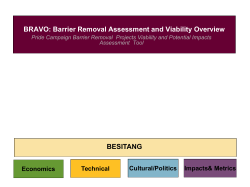 BRAVO Besitang Details Economics