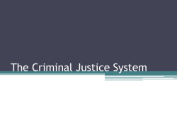 The Criminal Justice System