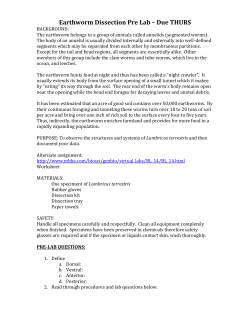 Earthworm Dissection Pre Lab
