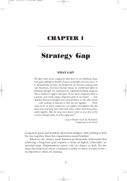 Strategy Gap