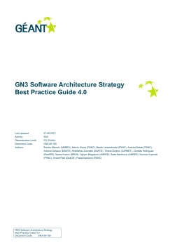 Software Architecture Strategy Best Practice Guide 4.0