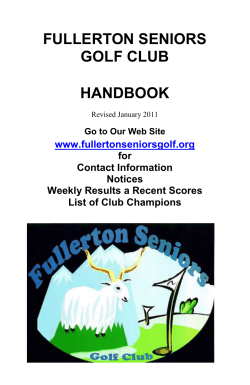 rules of golf - stroke play synopsis