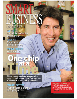 One chip - Snak King