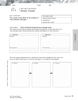 SECTION 21.2 THE VASCULAR SYSTEM Study Guide KEY