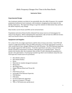 docx - BeanBeetles.org