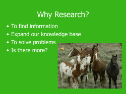 The Hunt Advanced Search Strategies