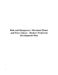 Risk and Ratepayers: Merchant Plants and Price Takers &ndash; Hydro`s