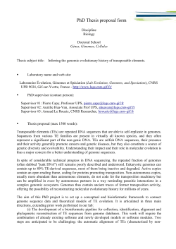 Thesis - Universit&eacute; Paris-Sud