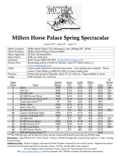 Millers Horse Palace Spring Spectacular
