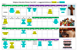 Strand and Module Planner 2017