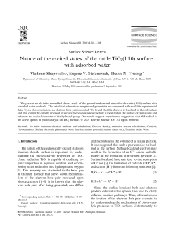 Nature of the excited states of the rutile TiO2(110