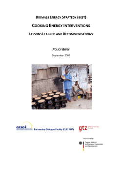 Biomass Energy Strategies (BEST) &ndash; Policy Recommendations for