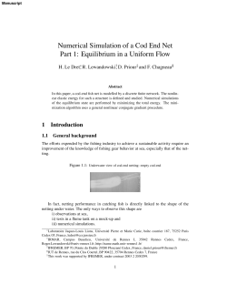 Numerical Simulation of a Cod End Net Part 1: Equilibrium in a