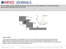 Slide - Journal of Vision