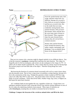 Homologous Structures