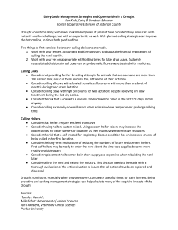 Dairy Cattle Management Strategies and Opportunities in a