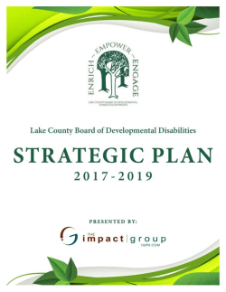 Strategic Plan Proposal