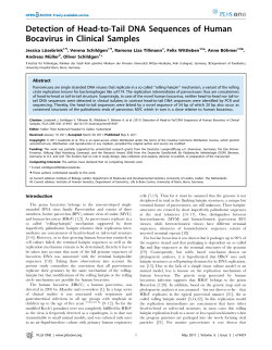 Detection of Head-to-Tail DNA Sequences of Human Bocavirus in