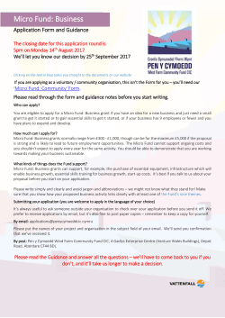 micro fund business application form