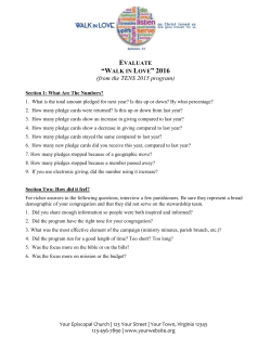 Evaluation - The Diocese of Virginia