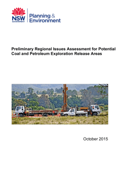 Preliminary Regional Issues Assessment for