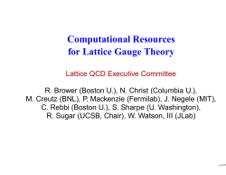 Computational Resources for Lattice Gauge Theory