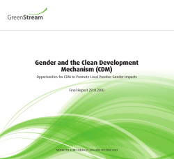 Gender and the Clean Development Mechanism (CDM)
