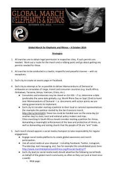 GMFER Strategies doc - Global March for Elephants and Rhinos