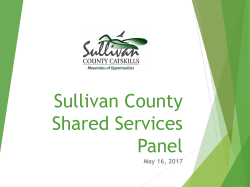 Oswego County Shared Services Panel