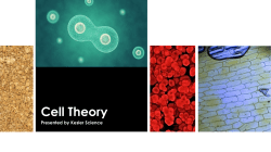 Cell Theory